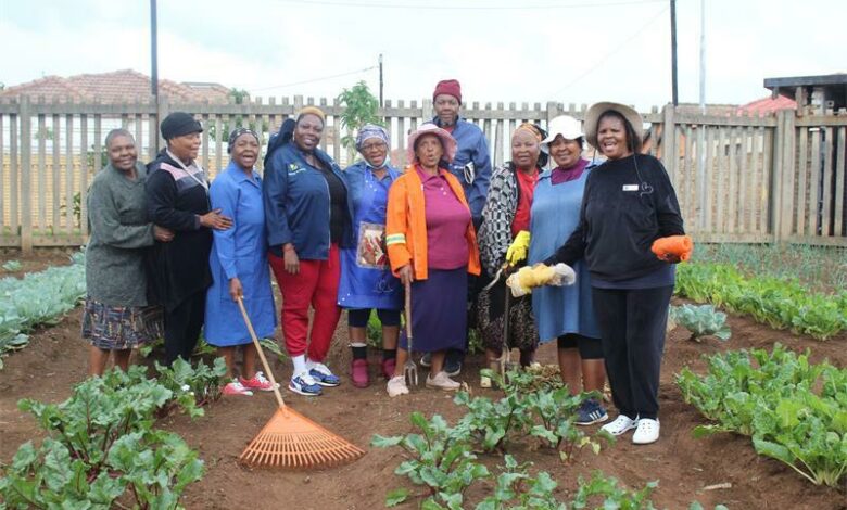 Township community members working together in a food garden